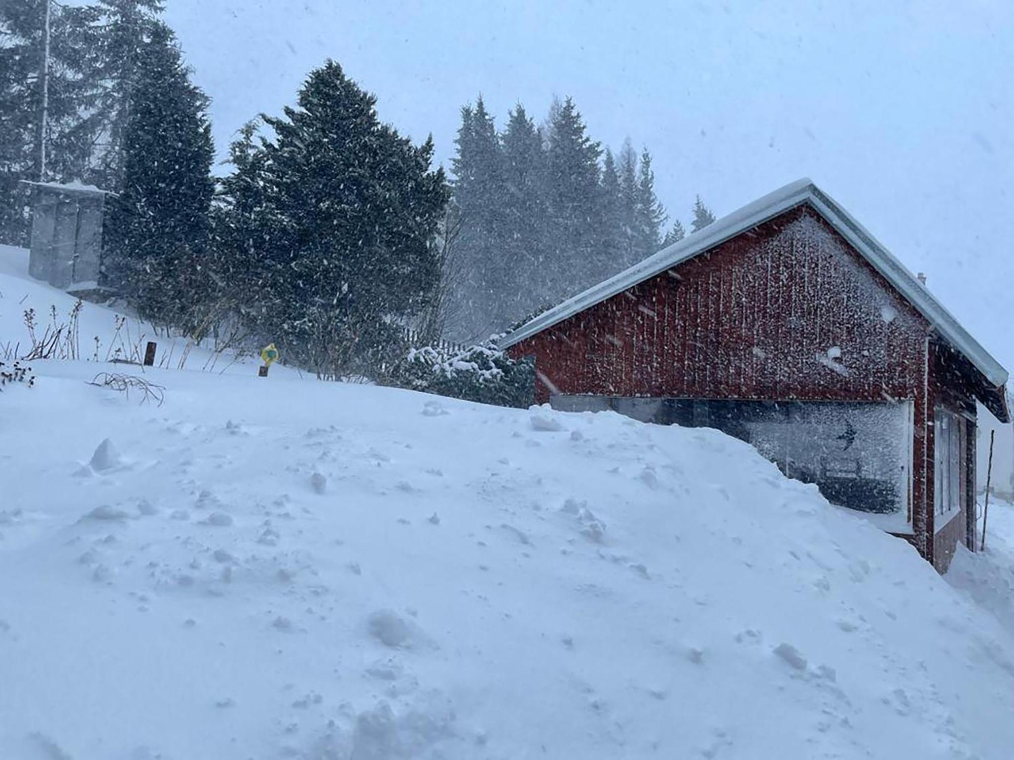 Wolf House Klinovec Hotell Loučná pod Klínovcem Exteriör bild
